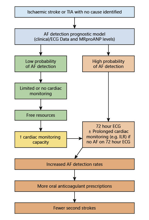  Illustration of a more personalized care pathway to search for AF after stroke that could be designed based on the prognostic model from the study.