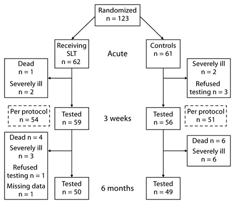 Fig. 1. Flow chart for randomized patients.