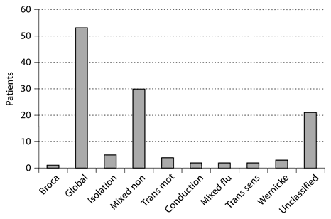 Fig. 2. Types of aphasia at baseline. Mixed non = Mixed non-fluent, Trans mot = transcortical motor, Mixed flu = mixed fluent, Trans sens = transcortical sensory.