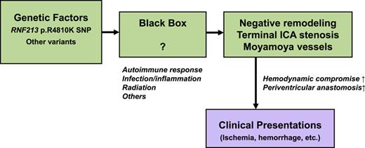 Demographic view of the possible mechanism underlying the development of MMD. Internal carotid-external carotid (IC-EC) conversion as a compensatory physiological reorganization system for MMD.