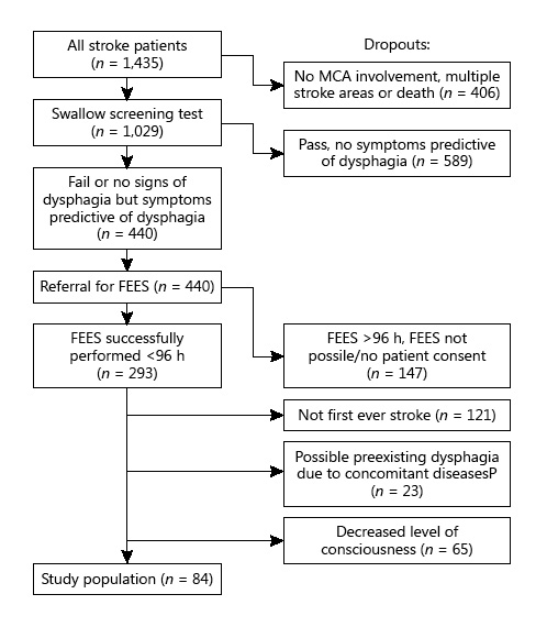Fig. 1. Patient recruitment flow diagram detailing the number of evaluated and excluded patients.