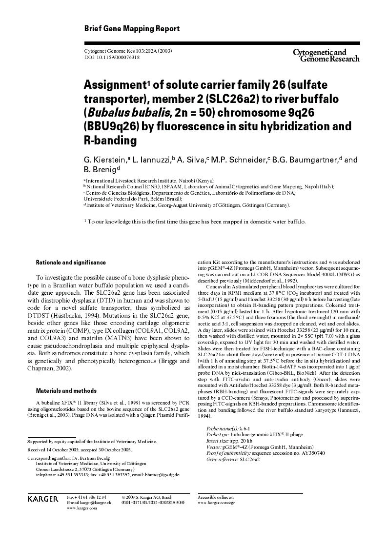 Article PDF first page preview