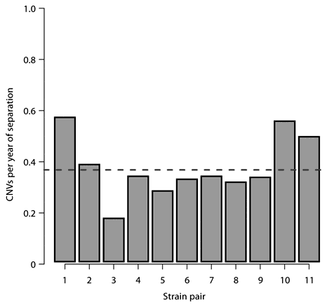 Fig. 4. The rate of CNV accumulation between related strain pairs. The ratio of the number of CNVs which vary between a given pair of strains and the number of years of separation of that pair are shown for 11 inbred mouse strain pairs. The mean across these values (0.37 CNVs/year) is indicated by a dashed line. The strain pairs used are: 1) 129S1/SvImJ and 129X1/SvJ (55 years separation); 2) C3H/HeJ and CBA/J (88 years); 3) C57BL/6J and C57BL/10J (71 years); 4) C57BR/cdJ and C57L/J (75 years); 5) C57L/J and C57BL/6J (87 years); 6) C57L/J and C57BL/10J (87 years); 7) C57BR/cdJ and C57BL/6J (87 years); 8) C57BR/cdJ and C57BL/10J (87 years); 9) DBA/1J and DBA/2J (79 years); 10) FVB/Ntac and SWR/J (82 years); 11) FVB/Ntac and SJL/J (82 years).