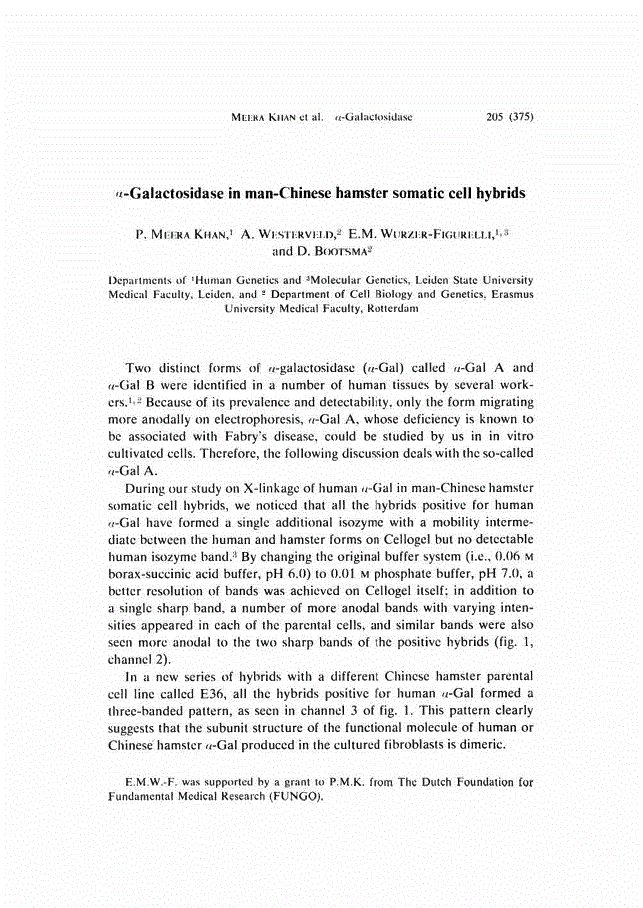 First page of α-Galactosidase in man-Chinese hamster somatic cell hybrids