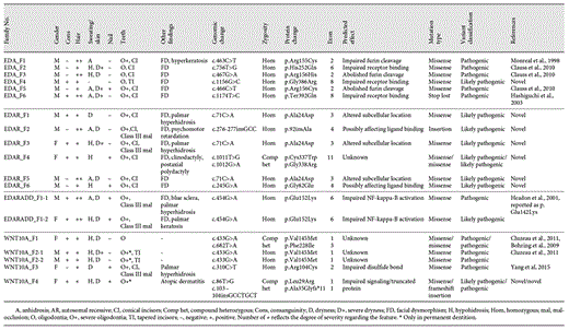 Phenotype and genotype of HED/EDA cohort