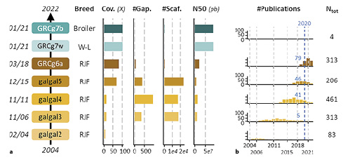 Assembly versions associated with the chicken genome (a) and the number of publications associated with them (b). a RJF, Red Jungle fowl; W–L, White Leghorn; Cov., coverage; Scaf, scaffold; N50, scaffold N50. For more details, see online supplementary Material 5, Table 1. b Blue numbers, articles published using the corresponding assembly during the year 2020. Identification was made on PubMed Central by searching for the assembly name in different formats (e.g., GRCg6a or GRCg6 or Galgal6).