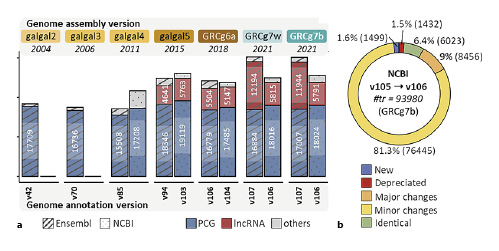  Gene numbers provided by NCBI’s RefSeq and EMBL-EBI’s Ensembl according to the genome annotation and genome assembly versions (a) and transcript model changes between two genome annotation versions from NCBI RefSeq for the same assembly – GRCg7b (b). a PCG, protein-coding gene; lncRNA: long noncoding RNA. b Comparison between versions 105 and 106 provided by NCBI [NCBI RefSeq, 2022]. Briefly, a score (between 0 and 1) for current and previous transcript features is calculated based on overlap in exon sequence and matches in exon boundaries. Pairs of current and previous features were categorized based on these scores and considering changes in attributes. New, new transcript models; Deprecated, transcripts removed or merged in the new version; Major changes, changes with great impact on the sequence or on the transcript attributes; Minor changes, minimal change ensuring similarity.