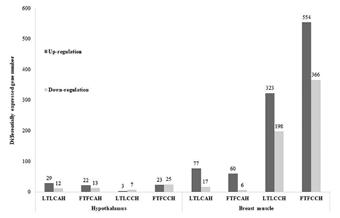 Numbers of differentially expressed genes identified within genetic lines. A false discovery rate <0.05 was used to classify genes as differentially expressed. AH, acute heat stress; CH, chronic heat stress and NDV infection at 2 dpi; LTLC, Leghorn treated versus non-treated; FTFC, Fayoumi treated versus non-treated.