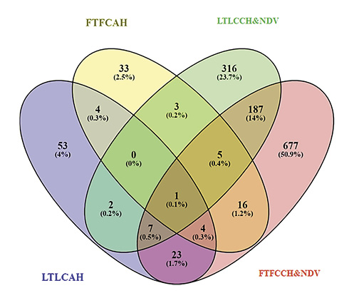 Venn diagram of differentially expressed genes within genetic lines in the breast muscle. LTLCAH, Leghorn treated versus non-treated with acute heat stress; FTFCAH, Fayoumi treated versus non-treated with acute heat stress; LTLCCH&NDV, Leghorn treated versus non-treated with chronic heat stress and 2 dpi NDV infection; FTFCCH&NDV, Fayoumi treated versus non-treated with chronic heat stress and 2 dpi NDV infection.