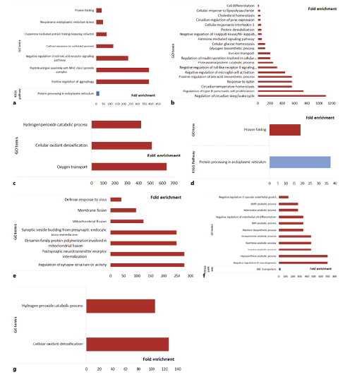  Gene ontology (GO) biological processes and KEGG pathway overrepresentation (p< 0.05 and FDR <20%) for within-line comparisons in the hypothalamus. a GO terms and KEGG pathways significantly enriched by upregulated genes in the LTLCAH comparison. b GO terms and KEGG pathways significantly enriched by downregulated genes in the LTLCAH comparison. c GO terms and KEGG pathways significantly enriched by downregulated genes in the LTLCCH comparison. d GO terms and KEGG pathways significantly enriched by upregulated genes in the FTFCAH comparison. e GO terms and KEGG pathways significantly enriched by downregulated genes in the FTFCAH comparison. f GO terms and KEGG pathways significantly enriched by upregulated genes in the FT­FCCH comparison. g GO terms and KEGG pathways significantly enriched by downregulated genes in the FTFCCH comparison.
