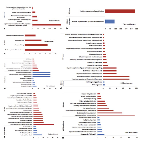  Gene ontology (GO) biological processes and KEGG pathway overrepresentation (p< 0.05 and FDR <20%) for within-line comparisons in the breast muscle. a GO terms and KEGG pathways significantly enriched by upregulated genes in the LTLCAH comparison. b GO terms and KEGG pathways significantly enriched by downregulated genes in the LTLCAH comparison. c GO terms and KEGG pathways significantly enriched by upregulated genes in the FTFCAH comparison. d GO terms and KEGG pathways significantly enriched by upregulated genes in the LTLCCH comparison. e GO terms and KEGG pathways significantly enriched by downregulated genes in the LTLCCH comparison. f GO terms and KEGG pathways significantly enriched by upregulated genes in the FTFCCH comparison. g GO terms and KEGG pathways significantly enriched by downregulated genes in the FT­FCCH comparison.