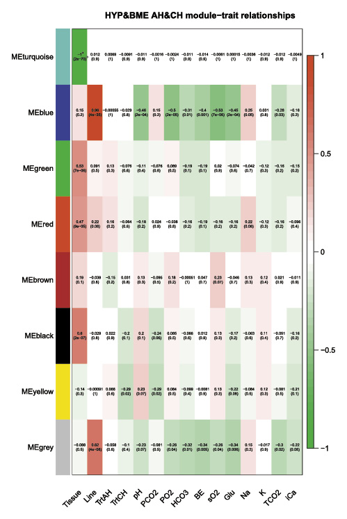  Module-trait relationships from WGCNA. Each module (yaxis) is correlated with each phenotype (xaxis); the correlation and pvalues were reported for each comparison. Strong positive correlations are coloured in red, and strong negative correlations are coloured in green. TrtAH, acute heat stress; TrtCH, chronic heat stress and 2 dpi NDV infection. a Correlation coefficients. b pvalues.