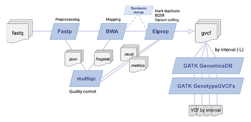 Processing pipeline. To ensure between-sample consistency, all samples have been re-processed from raw fastq reads. Reads underwent pre-processing and quality control before mapping to the latest version of the chicken genome (GRCg7b), variant calling, and generating a VCF.
