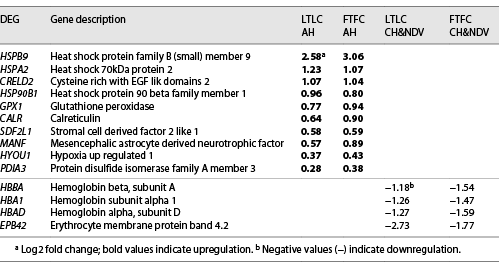 DEGs identified in multiple contrasts in the hypothalamus
