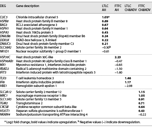 Contrast specific DEGs identified in hypothalamus