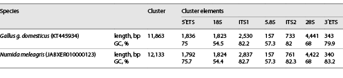 Length and GC content in the rDNA cluster and cluster elements in chicken and guinea fowl