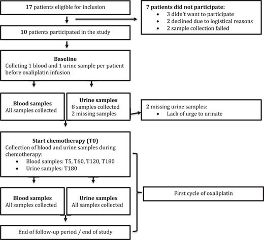 Flowchart of the participants of the pilot study.