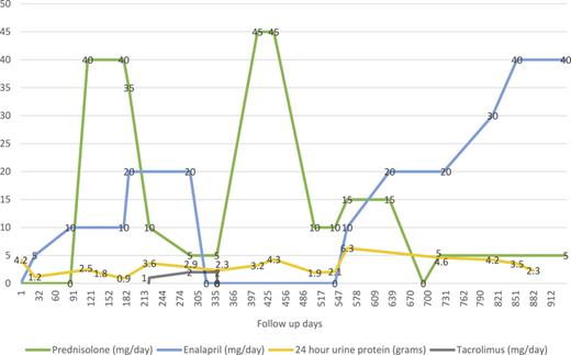 Treatment received and proteinuria correlation timeline.