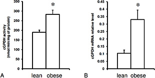 Fig. 2. The mean cGPDH activity (A), and cGPDH relative mRNA level (B) in the subcutaneous adipose tissue in lean subjects and obese patients. Data are presented as mean ± SEM, * p< 0.05.