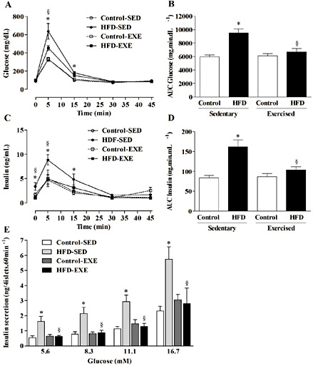 Fig. 3. Moderate exercise reduces plasmatic levels of glucose and insulin during ivGTT and improves insulin secretion by pancreatic islets in HFD rats. (A) glycemia curves, (B) AUC of glycemia over 45 min, (C) insulinemia curves, (D) AUC of insulinemia over 45 min. (E) Insulin secretion from pancreatic islets stimulated by various glucose concentrations. All values are expressed as the mean ± SEM (n= 10 - 12). *p< 0.01 versus Control-SED; §p< 0.01 versus HFD-SED. One-way ANOVA, post hoc Tukey's test.
