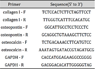 Primers used in real time RT-PCR analysis