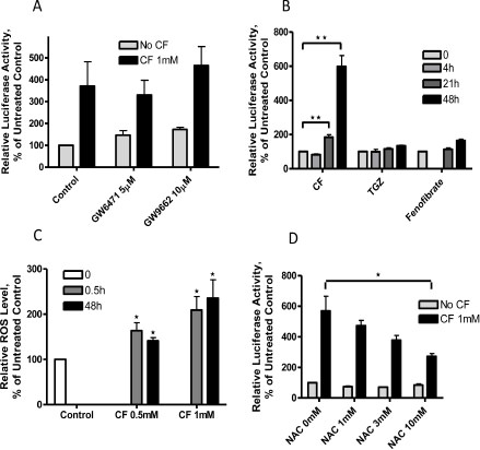 Fig. 7. Pre-treatment with NAC, but not GW6471 or GW9662, attenuates clofibrate-induced HO-1 gene promoter activity. A. A2780 cells were transfected with the PGL3/4.5-HO-1 promoter reporter construct and pre-treated by GW6471 or GW9662 at indicated concentrations for 15 minutes followed by 1 mM clofibrate for 48 hours. Cell lysates were prepared, and luciferase activity was assayed.B. A2780 cells were transfected with the PGL3/4.5-HO-1 promoter reporter construct and treated with 1 mM clofibrate, 50 µM fenofibrate or 20 µM TGZ for 4, 21 or 48 hours. Cell lysates were prepared, and luciferase activity was assayed. C. A2780 cells were treated with 0.5 or 1 mM clofibrate for 0.5 or 48 hours. ROS levels were analyzed. D. A2780 cells were transfected with the PGL3/4.5-HO-1 promoter reporter construct and pre-treated by NAC at indicated concentrations for 15 minutes followed by 1 mM clofibrate for 48 hours. Cell lysates were prepared, and luciferase activity was assayed. Data (n=3, mean ± SEM) are expressed as percentages of the value detected in untreated control cells. *, P<0.05, **, P<0.01, using one-way ANOVA followed by Dunnett's analysis or by Newman-Kelus analysis (C).