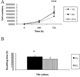 Fig. 1. L6 lineage myoblasts were cultured at different percentages of oxygen in GM for 72h in order to evaluate the effects of oxygen on the proliferation process. The cells were removed and counted each 24h to follow the kinetics of growth (A). Generation time was calculated for each percentage of oxygen using the relation t=y/((lny/x)ln2) where y is the number of cells after 48h of culture and x the number of seeded cells (B). Data are presented as mean ± SD, * p≤0.05, *** p≤0.001.