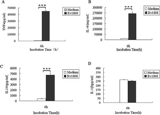 Fig. 5. The production of pro-inflammatory cytokines by macrophages co-incubated with Rv1808 proteins. PMA-differentiated U937 macrophages (2×106/well/2ml) were incubated with Rv1808 (5μg/ml). After 6h, supernatants were collected and assayed for the amounts of IL-10(A), IL6(B), TNF-α(C) and IL-1β(D) cytokines (mean ±SD) by EIA. Results are the mean± SD of three different experiments. ***, p<0.001.