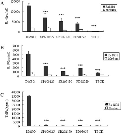 Fig. 9. The production of cytokines involves ERK1/2, JNK, p38 MAPK-dependent pathway. PMA-differentiated macrophages were treated with specially pharmacological inhibitors of ERK1/2 (U0126, 10 μM and PD98059,15μM), p38 MAPK(SB202190, 20μM), JNK(SP600125, μM), or DMSO (vehicle control) for 1 h prior to treatment with Rv1808 for 6h, and the level of secreted TNF-α, IL-6 and IL-10 was analyzed. Data are presented as mean±S.E. from three independent experiments. ***, p<0.001.