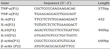 PCR primers for cytokines