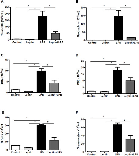 Fig. 1. Total cells and neutrophils in bronchoalveolar lavage (BAL) and lymphocyte infiltration in lung tissue. BAL was performed 6 h after the challenge. The cells (A) were counted in a hemocytometer, and neutrophils (B) were counted after cytocentrifugation and staining with hematoxylin/eosin. Lung tissue was harvested 6 h after the challenge, and lymphocyte infiltration [(C) CD4+, (D) CD8+, (E) B cells and (F) granulocytes] in lung tissue was evaluated by flow cytometry, as described in the methods. The results are the means ± S.E.M. of 6 animals/group. * P< 0.01, # P<0.05.