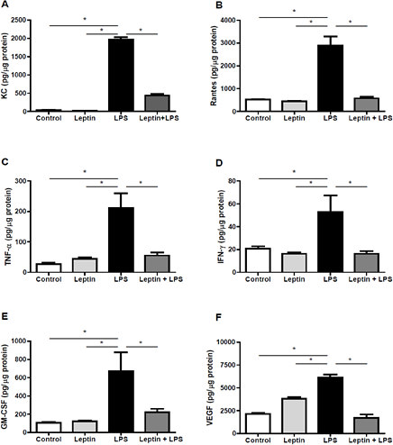 Fig. 3. Effect of leptin on LPS-induced cytokines and chemokines in the lung tissue. (A) keratinocyte-derived chemokine (KC), (B) RANTES, (C) tumor necrosis factor-alpha (TNF-α), (D) interferon-gamma (IFN-γ), (E) granulocyte-macrophage colony-stimulating factor (GM-CSF) and (F) vascular endothelial growth factor (VEGF) were quantified in lung tissue 6 h after the challenge by Bioplex, as described in the methods. The total protein of the lung tissue was measured, and the results are indicated as pg of specific molecule/µg of total protein. The results are the means ± S.E.M. of 6 animals/group, *P<0.05.