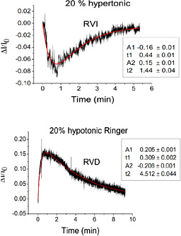 Regulatory Volume Increase and Regulatory Volume Decrease Responses in ...