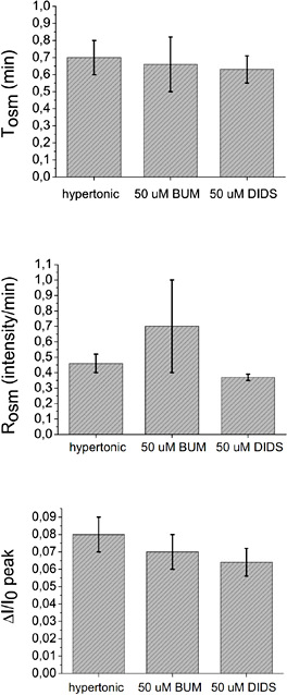 Regulatory Volume Increase and Regulatory Volume Decrease Responses in ...