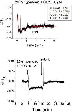 Regulatory Volume Increase and Regulatory Volume Decrease Responses in ...