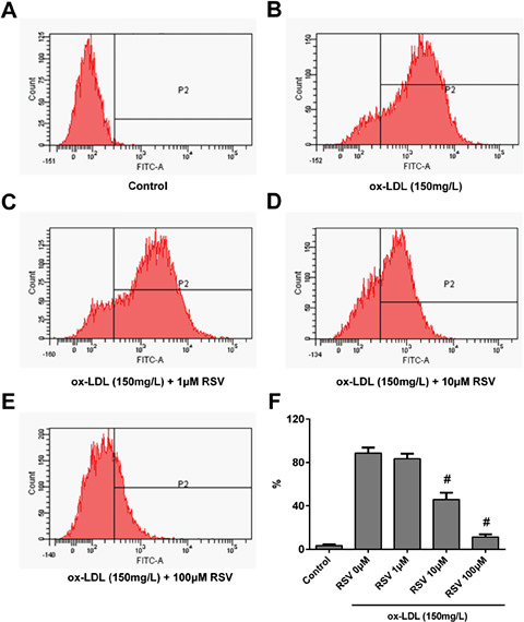 Fig. 6. The inhibitory effect of RSV on ox-LDL-induced reactive oxygen species (ROS) over-production. Cells were pre-treated with RSV for 24 h prior to ox-LDL exposure for 2 h. ROS were detected using a 2',7'-dichlorofluorescin diacetate (DCFH-DA) probe. (A-E) representative flow cytometric images of cells in different groups: (A) Control; (B) Ox-LDL 150 mg·L-1; (C-E) cells treated with different concentrations of RSV (1, 10, 100 mM) prior to 150·mg· L-1 ox-LDL exposure. (F) Quantitative analysis of the ratio of DCFH-DA probe positive cells. Values are expressed as means ± SD from triplicate experiments. R: resveratrol (RSV); ox-LDL: oxidised low-density lipoprotein * P < 0.05 indicates significant differences from the ox-LDL 150 mg·L-1 group. # P < 0.01 indicates significant differences from the ox-LDL 150 mg·L-1 group.