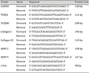 Primers for real time RT-PCR.