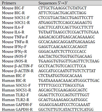 Primers for qRT-PCR