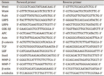 Primers used for quantitative Real-time PCR