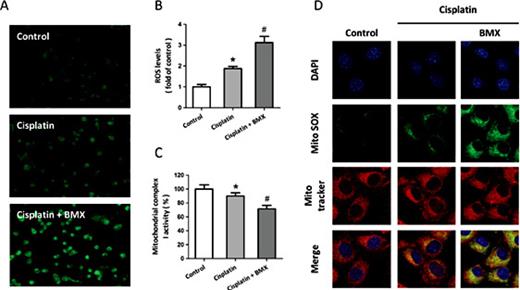 Fig. 3. BMX increases cisplatin-induced ROS generation in A549 cells. A549 cells were treated with 10 µM cisplatin with or without 1 µM BMX. ROS generation was measured by DCF-DA staining (A), and the intracellular ROS levels cells in each group was calculated (B). The activity of mitochondrial complex I was measured (C), and the intra-mitochondrial ROS generation was assessed b< MitoSOX staining (D). The data was represented as means ± SEM from five experiments. *p < 0.05 vs. control and #p < 0.05 vs. cisplatin.