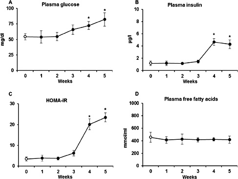 Fig. 1. Concentration of glucose (A), insulin (B) and free fatty acids (D) in plasma. HOMA-IR (C) was calculated by using plasma values of glucose and insulin. The data are expressed as the mean ± SEM and are based on six independent determinations (n=6). White dots are referred as Control group (week 0) and black dots as HFD groups from each experimental week (1, 2, 3, 4 and 5). * P <0.05 significant difference: Control group vs. HFD groups.