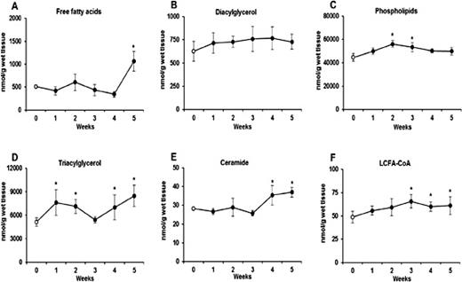 Fig. 4. Myocardial content of free fatty acids (A), diacylglycerol (B), phospholipids (C), triacylglycerol (D), ceramide (E) and long chain fatty acids-CoA (F). The data are expressed as the mean ± SEM and are based on six independent determinations (n=6). White dots are referred as Control group (week 0) and black dots as HFD groups from each experimental week (1, 2, 3, 4 and 5). * P <0.05 significant difference: Control group vs. HFD groups.