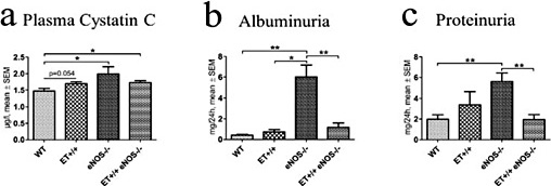 Fig. 1. Plasma cystatin C levels (a), urinary albumin (b) and protein (c) daily excretion. values are given as mean ± SEM. * P < 0.05, ** P < 0.01.