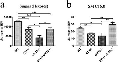 Fig. 8. Plasma levels of hexoses (a) and sphingomyeline C16:0 (b). Values are given as mean ± SEM. * P < 0.05, ** P < 0.01, *** P < 0.001.