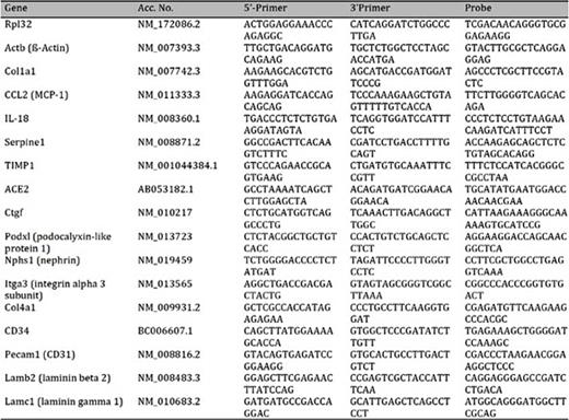 Renal Time PCR primers