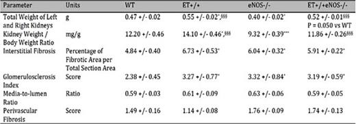 Renal Morphology. The parameters of renal morphology in 9 months old mice. Values are given as mean ± SEM. * P < 0.05; *** P < 0.001 vs WT; §§§ P < 0.001 vs eNOS-/-