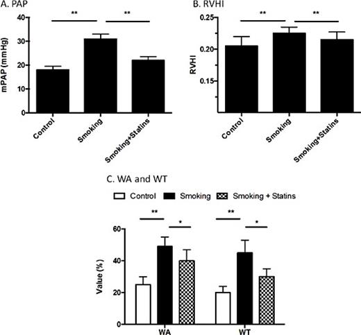 Fig. 1. PAH model parameters. (Panel A) Mean pulmonary artery pressure (mPAP). Mean pulmonary artery pressure was measured as described in the methods. Vertical axis: mPAP (mmHg); horizontal axis: treatment. (Panel B) Right ventricular hypertrophy index (RVHI). RVHI was measured as described in the methods. Vertical axis: arbitrary number of RVHI; horizontal axis: treatment. (Panel C) Percentage of vascular wall area (WA %) and wall thickness (WT%). Vertical axis: Percentage (%); horizontal axis: vascular wall area or wall thickness. **p < 0.01; *p < 0.05. Data presented was an average of 10 biological replicates for each treatment group.