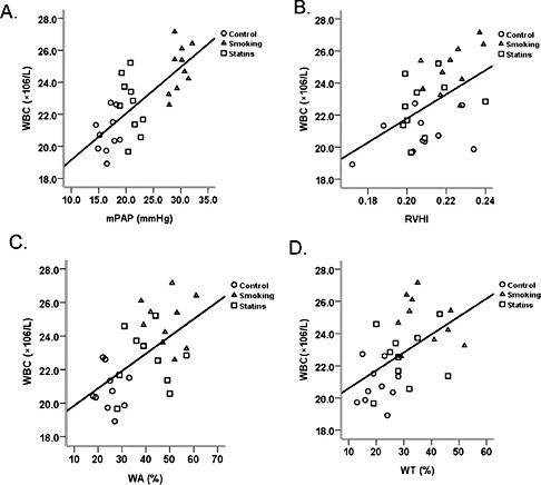 Fig. 3. Correlation between WBC count and PAP, RVHI, WA%, and WT%. (Panel A) Positive correlation between number of WBC and mPAP (r = 0.739, p= 0.000). (Panel B) Positive correlation between number of WBC and RVHI (r = 0.524, p = 0.003). (Panel C) Positive correlation between number of WBC and WA% (r = 0.581, p = 0.001). (Panel D) Positive correlation between number of WBC and WT% (r = 0.514, p = 0.004). N = 10 rats each group.