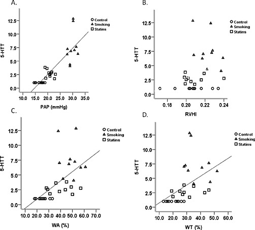Fig. 6. Correlation between the expression of 5-HT in rat plasma and rat mPAP, RVHI, WA%, and WT%. (Panel A) Positive correlation between 5-HT in rat plasma and mPAP (r = 0.816, p = 0.000). (Panel B) Positive correlation between 5-HT in rat plasma and RVHI (r = 0.467, p = 0.000). (Panel C) Positive correlation between 5-HT in rat plasma and WA% (r = 0.744, p = 0.000). (Panel D) Positive correlation between 5-HT in rat plasma and WT% (r = 0.644, p = 0.000). N = 10 rats each group.