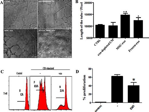Fig. 2. MSC-derived exosomes promote angiogenesis and inhibit proliferation of lymphocytes. HUVEC cells were seeded in a Matrigel-coated well. (A) Photomicrographs showed a significant increase in tube formation in the cells incubated with the MSC-derived exosomes. (B) Statistical analysis of tube length in different conditions (* P < 0.05 vs. exosome-depleted CM, # P < 0.05 vs frozen MSC-exosome). (C) Spleen lymphocytes were stained with carboxyfluorescein diacetate succinimidyl ester, stimulated with monoclonal antibodies against CD3, and then cultured for 96 h. Proliferation was quantified by fluorescence-activated cell sorting analysis. (D) Statistical analysis of T cell proliferation in the presence or absence of exosomes. Columns, mean (n = 3); bars, * P < 0.05 compared with exosome-depleted CM.